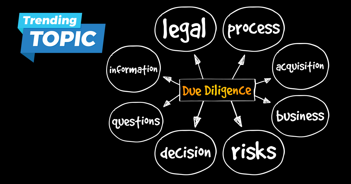 What does due 2024 diligence mean